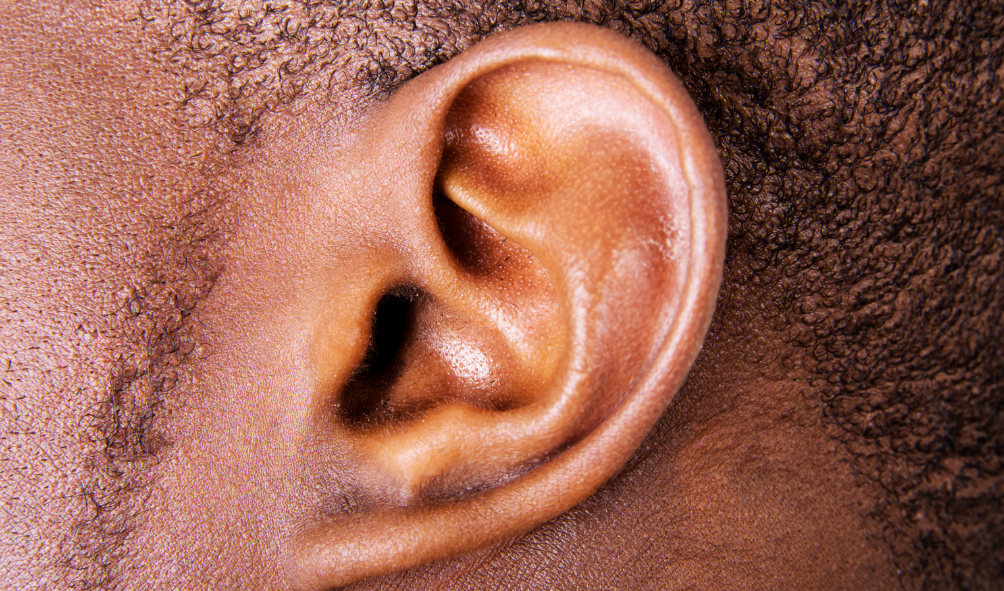 Ears (Otology/Neurotology)